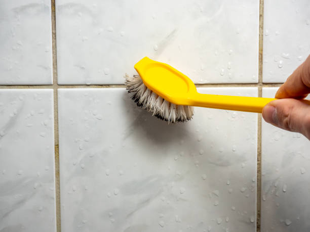 Trusted Slater, IA Mold Remediation Experts